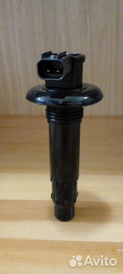 Катушка зажигания BRP 1503 004-174