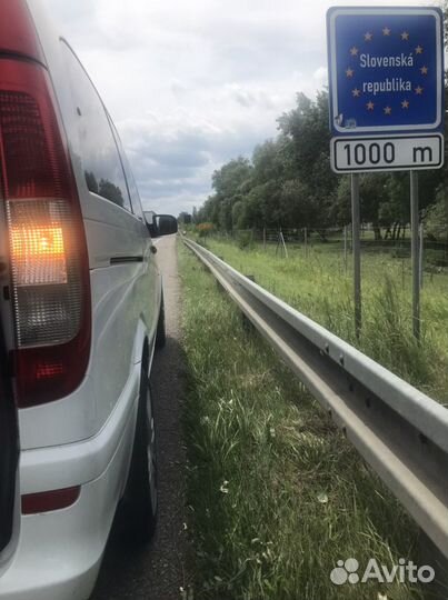 Трансфер под вас/переезд с животным Европу/Грузию