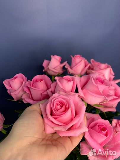 Розы цветы с доставкой