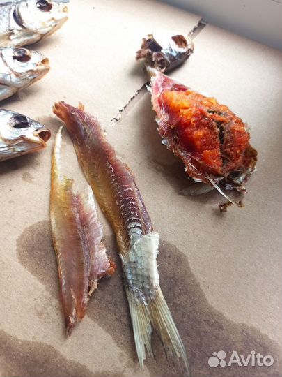 Вобла астраханская с икрой