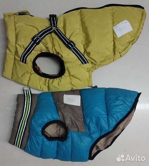 Одежда для животных