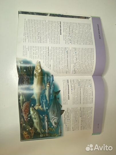 Серия детских энциклопедий