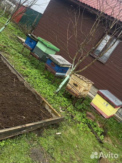 Улий для пчел