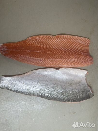 Филе Форели Охлаждённое