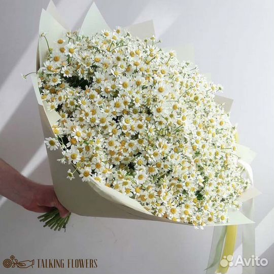 Букет ромашек на день семьи