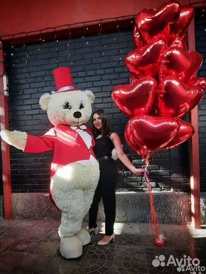 Живая открытка, Сюрприз, Мишка Тедди, Поздравление