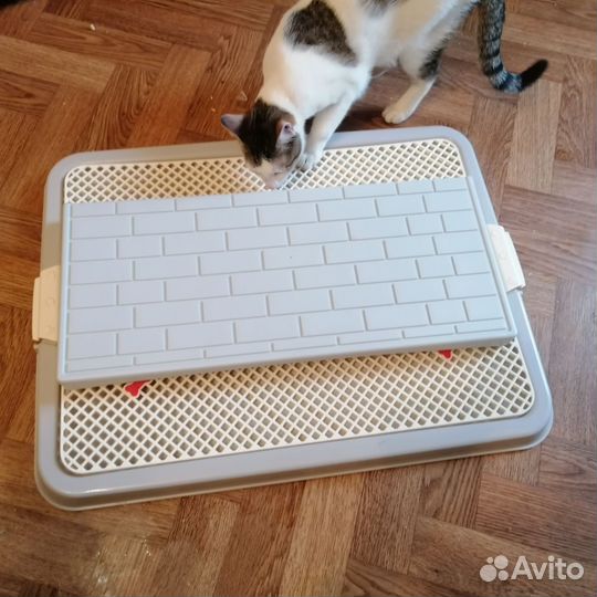 Лоток для собак