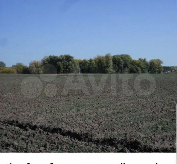 Участок 23,8 га (СНТ, ДНП)