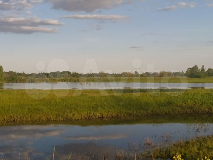 Участок 99 га (СНТ, ДНП)