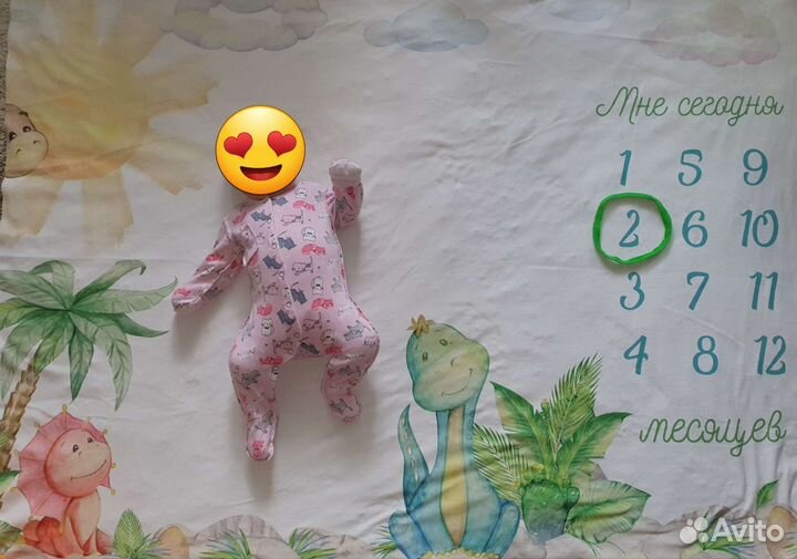 Фотоплед-метрика по месяцам