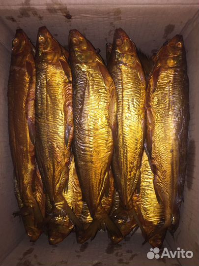 Копченая рыба