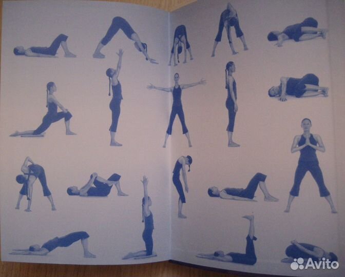 Книги Ломоносов, Платонов, 