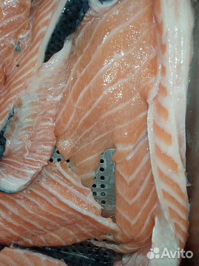 Суповой набор семги