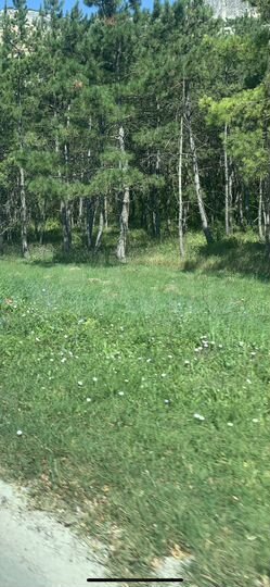 Участок 6 сот. (ИЖС)