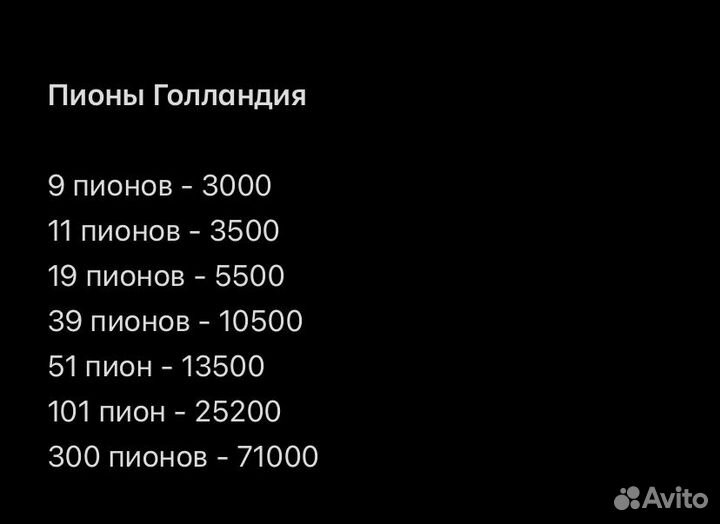 Пионы оптом