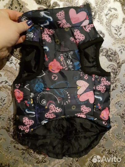 Одежда для маленьких собак