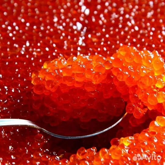 Красная икра Нерка 2023