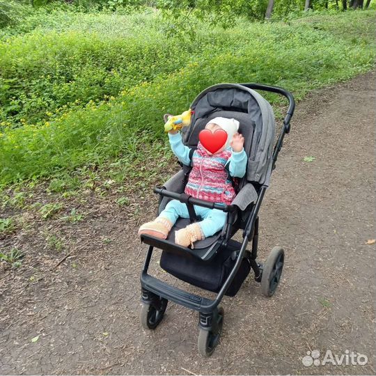 Коляска 2 в 1 roan bass next