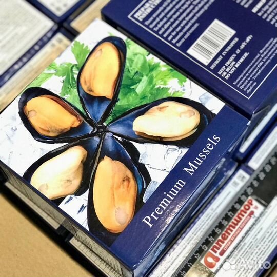 Мидии на створке раковины