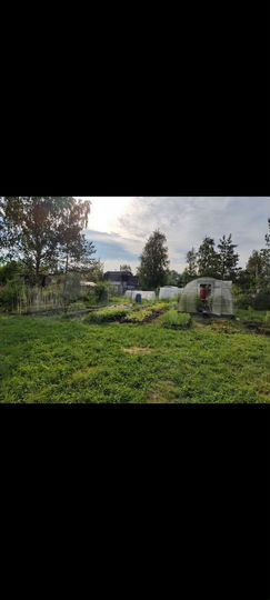 Участок 4 сот. (СНТ, ДНП)