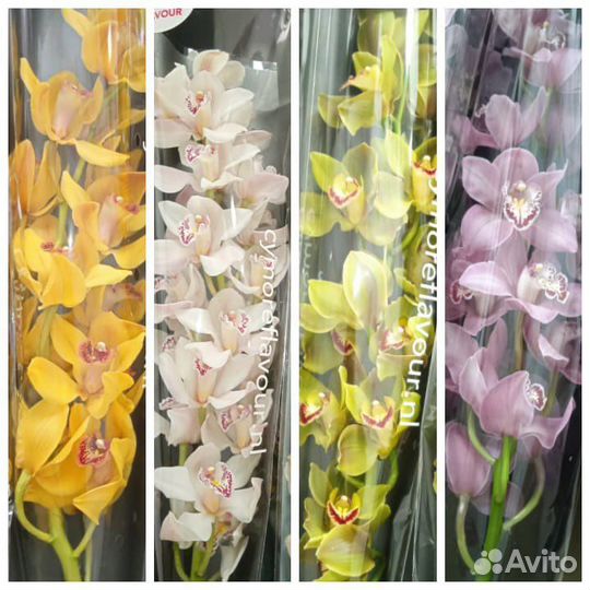 Эустома и другие цветы оптом