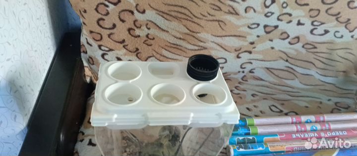Аквариум для рыбок