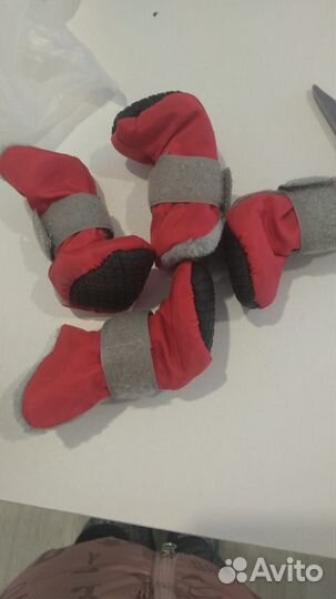 Обувь для собак