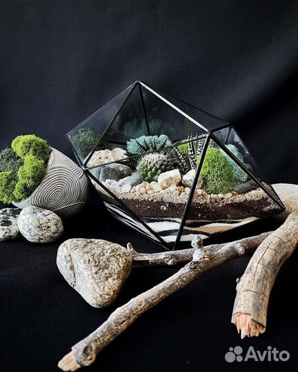 Флорариум /Подарок / Цветы / Букет