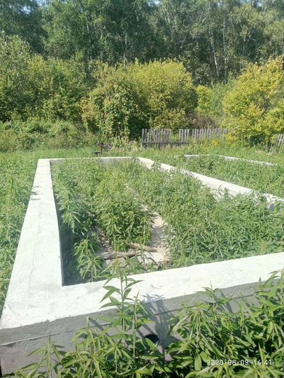 Участок 4 сот. (СНТ, ДНП)