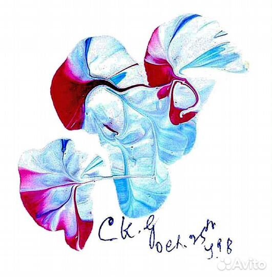 Выставка картин, книг, афоризмов, фотографий