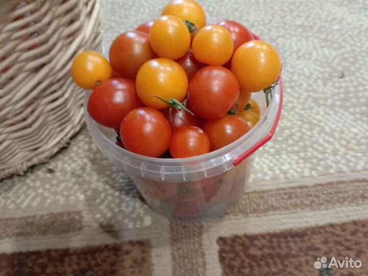 Помидоры, овощи, перец