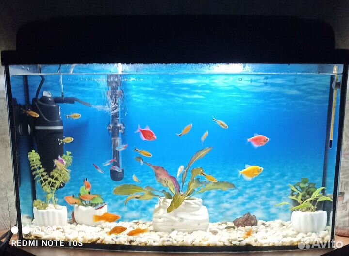 Аквариум с рыбками