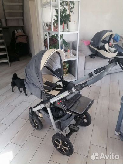 Verdi pepe eco 3 в 1