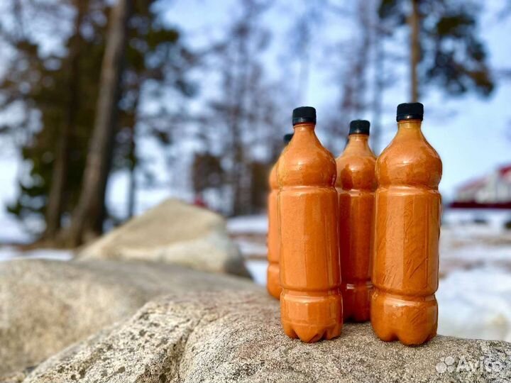 Байкальский облепиховый концентрат с мёдом