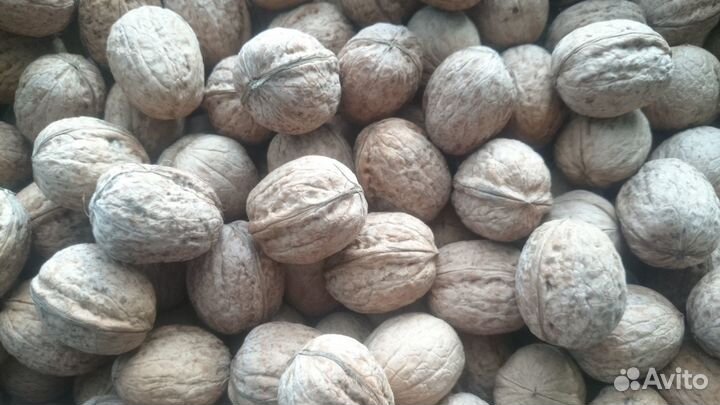 Продаю орехи в ст.Кривянская Ростов.обл