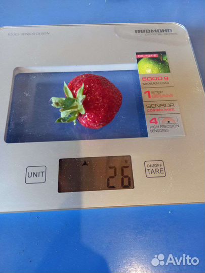 Саженцы клубники