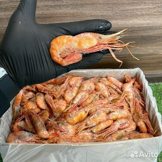 Креветка Ботан