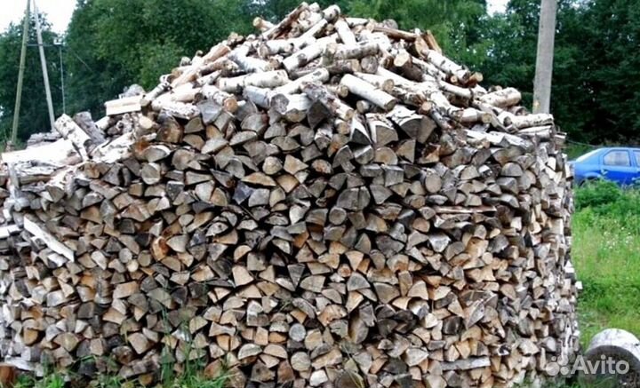 Дрова осина