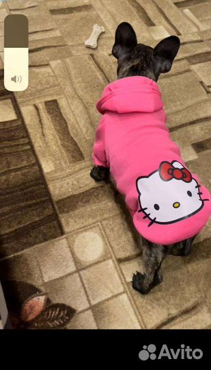 Кофта для собак