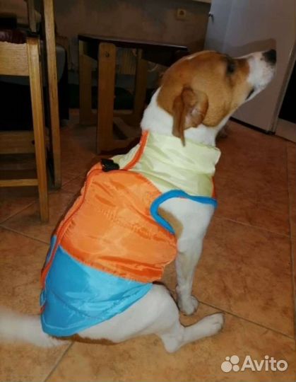 Жилетка для маленьких собак