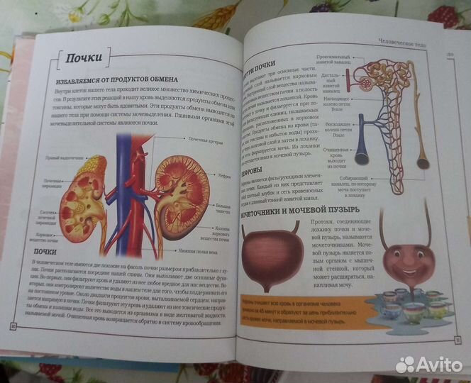 Занимательные детские книги