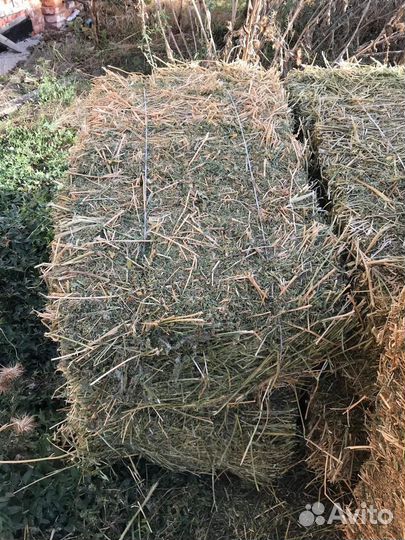 Продаётся зелёное сено люцерны и разнотравия