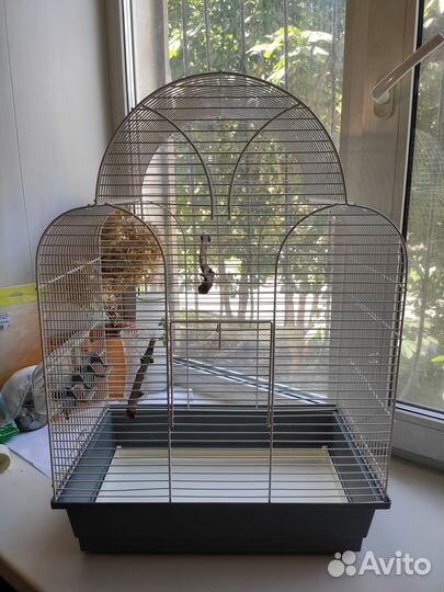 Клетка для птиц