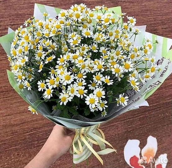 Цветы ромашки. Букеты ромашек. Цветы доставка