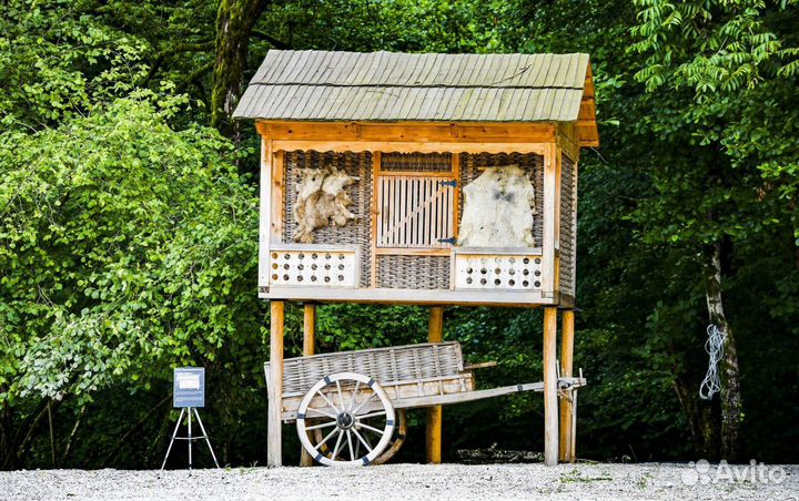 Индивидуальные экскурсии из Сочи в Абхазию