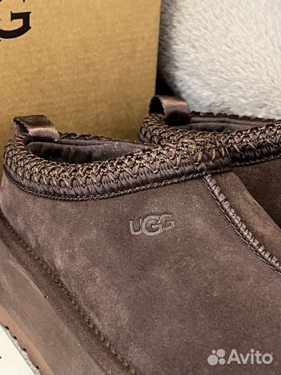 Тапочки угги ugg Tazz Platform (все цвета)