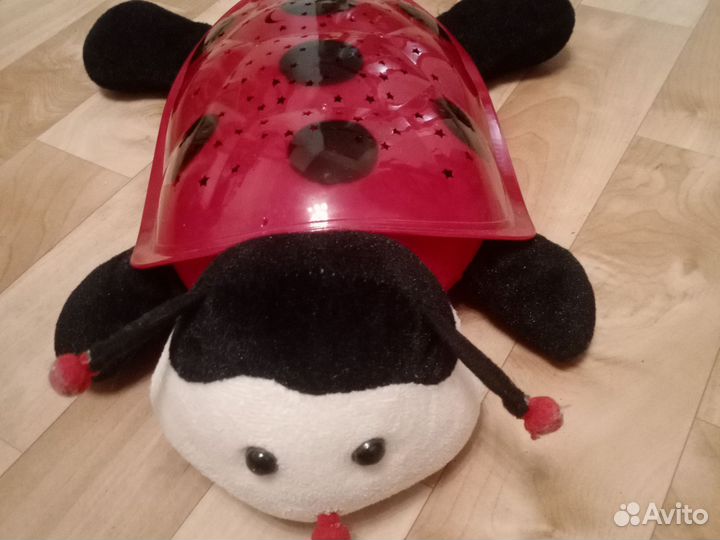 Светящаяся черепаха