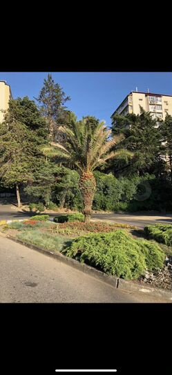 Комната 15 м², 2/3 эт.