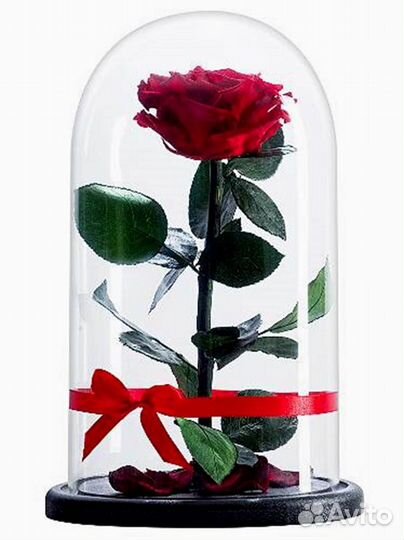 Роза в колбе. От производителя
