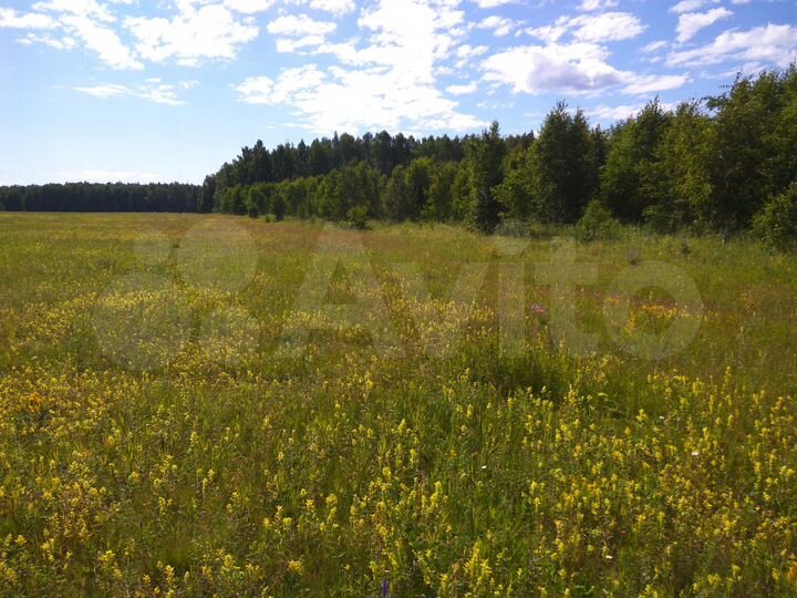 Участок 1,85 га (СНТ, ДНП)